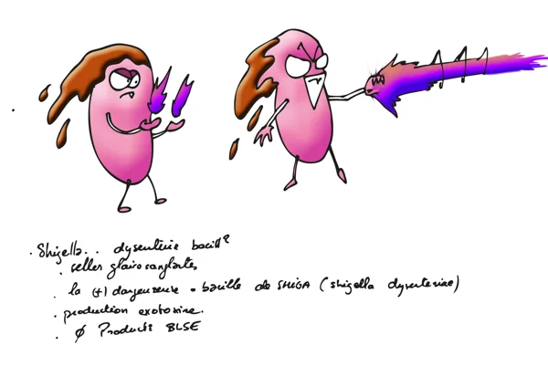 bact19 — dessin MEDESSINE de Yoan Mboussou