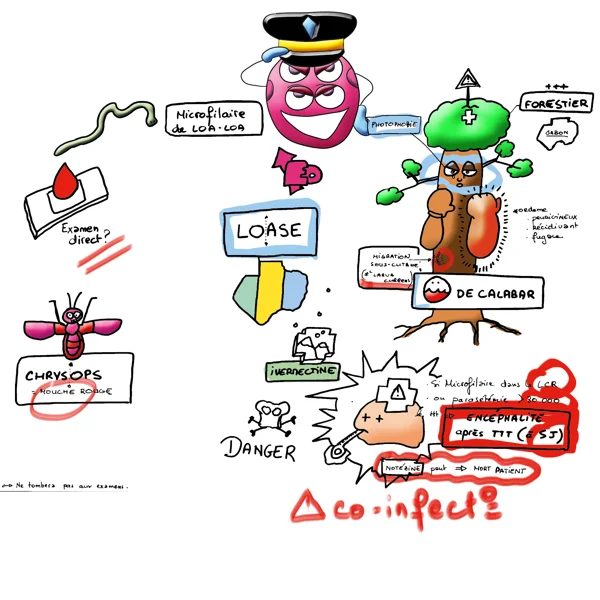 bact29 — dessin MEDESSINE de Yoan Mboussou