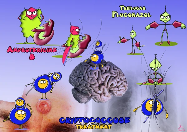 cryptocoque — dessin MEDESSINE de Yoan Mboussou