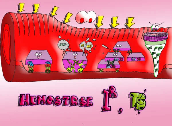 hémostase Ir — dessin MEDESSINE de Yoan Mboussou