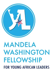 Mandela Washington Fellowship, Young African Leaders Initiative